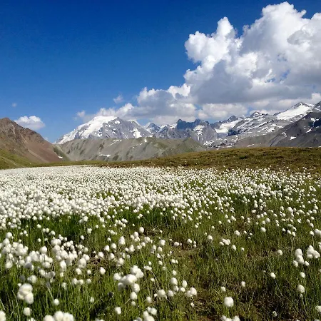 Hébergement de vacances Felse Bormio