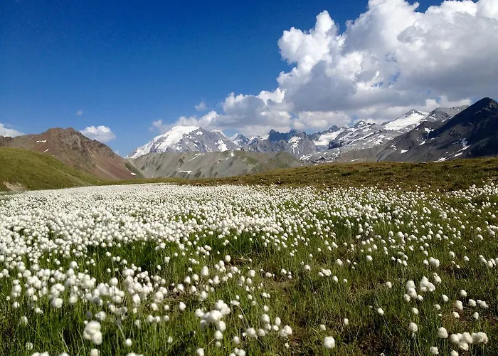 Casa vacanze Felse Bormio